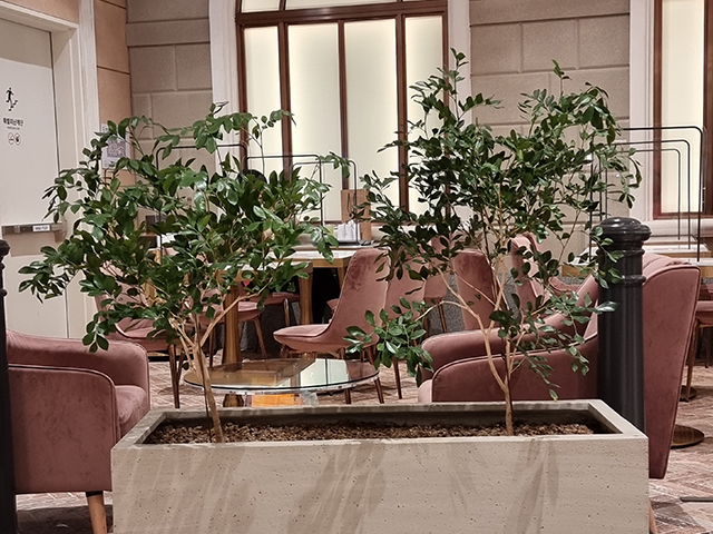06 실내조경